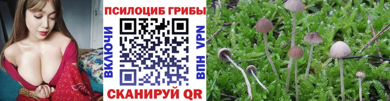 Галлюциногенные грибы мицелий  Татарск 